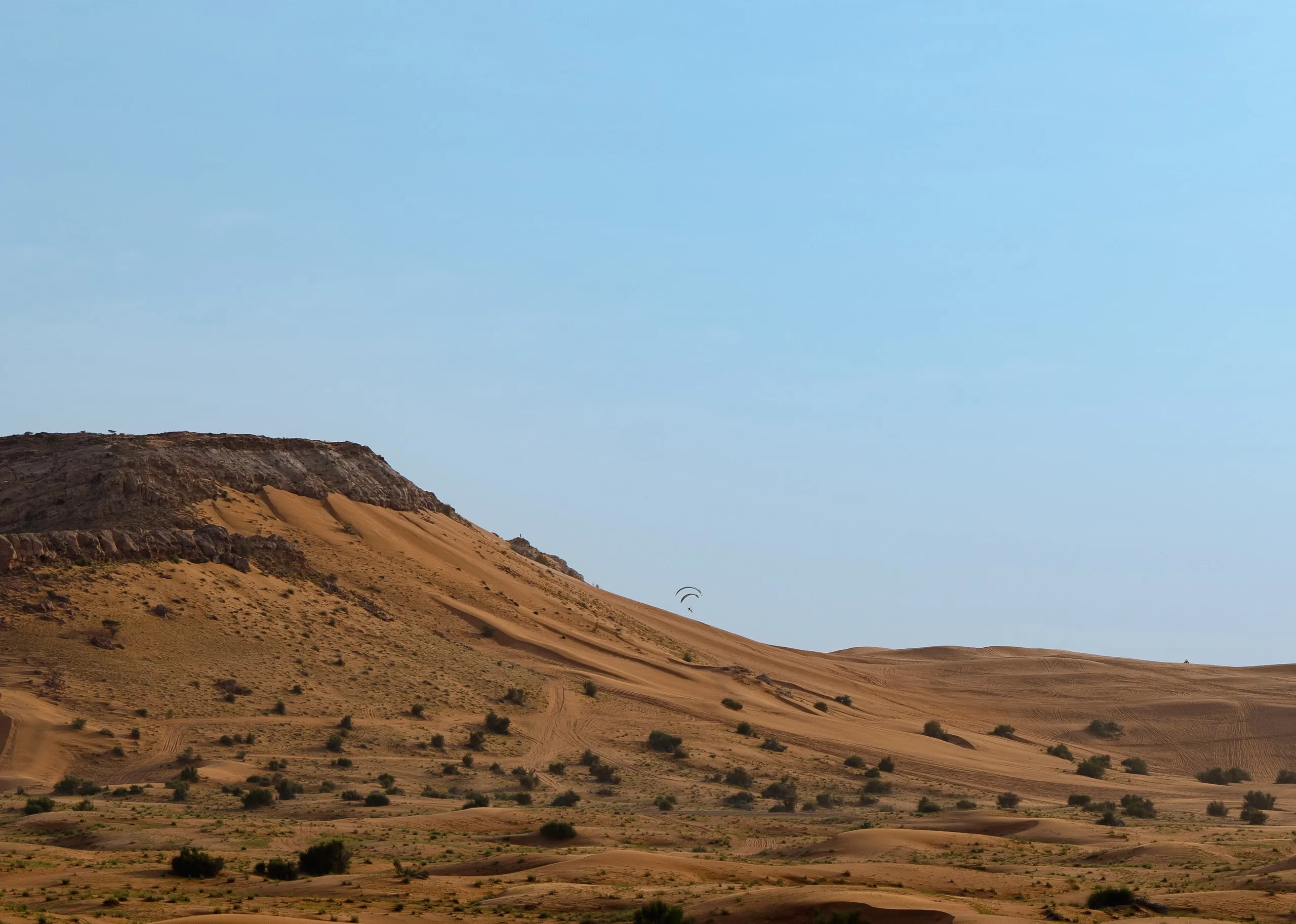 A tall dune ridge under a clean blue sky. Dubai.