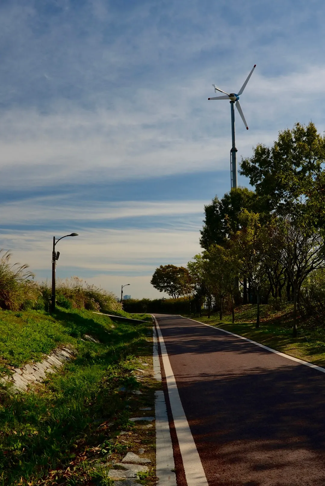 A quiet bike path. One wind turbine standing over the trees.