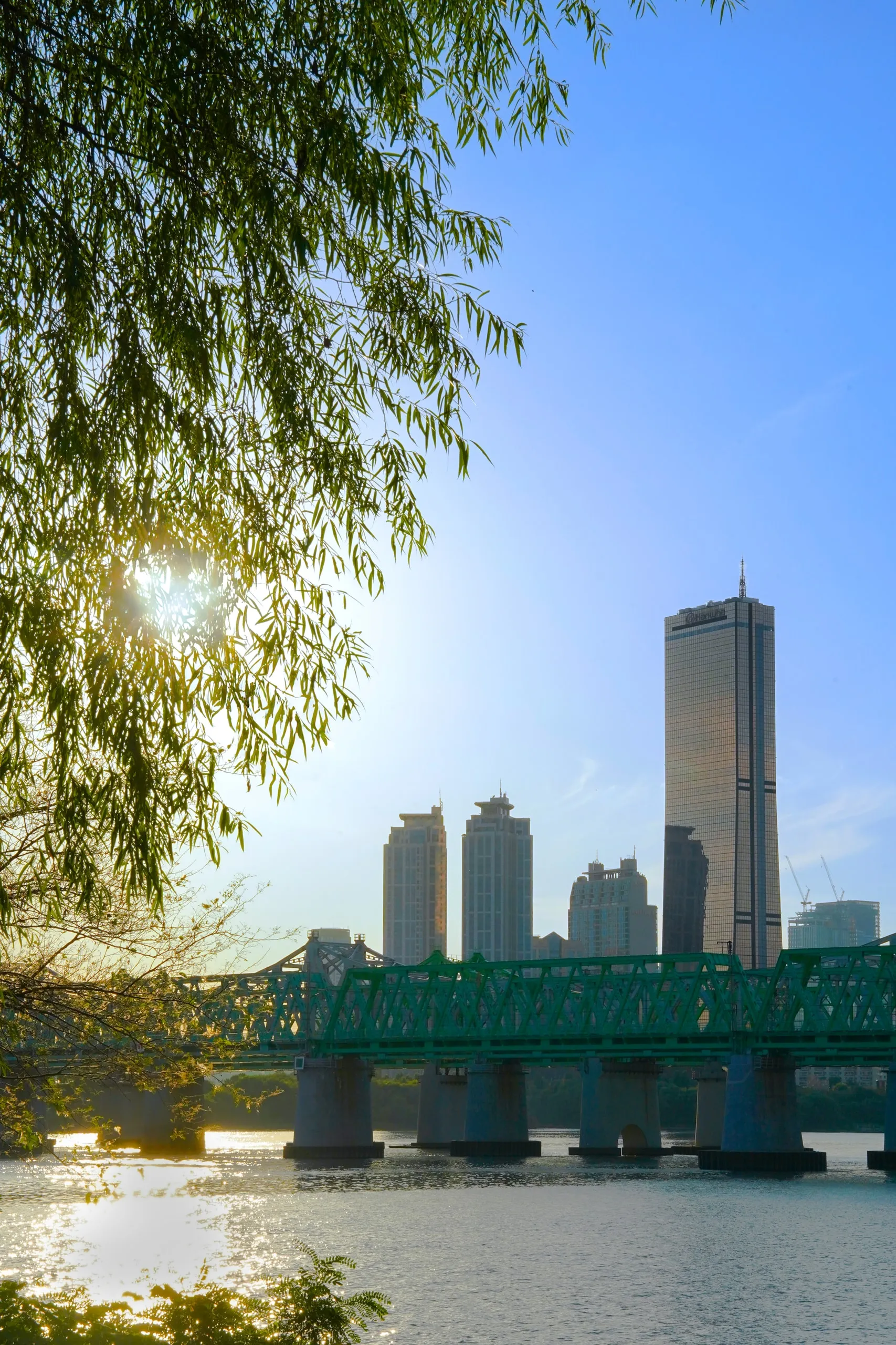 Seoul. The 63 Building across the Han River, with the green railway bridge below. Sun behind the willow.