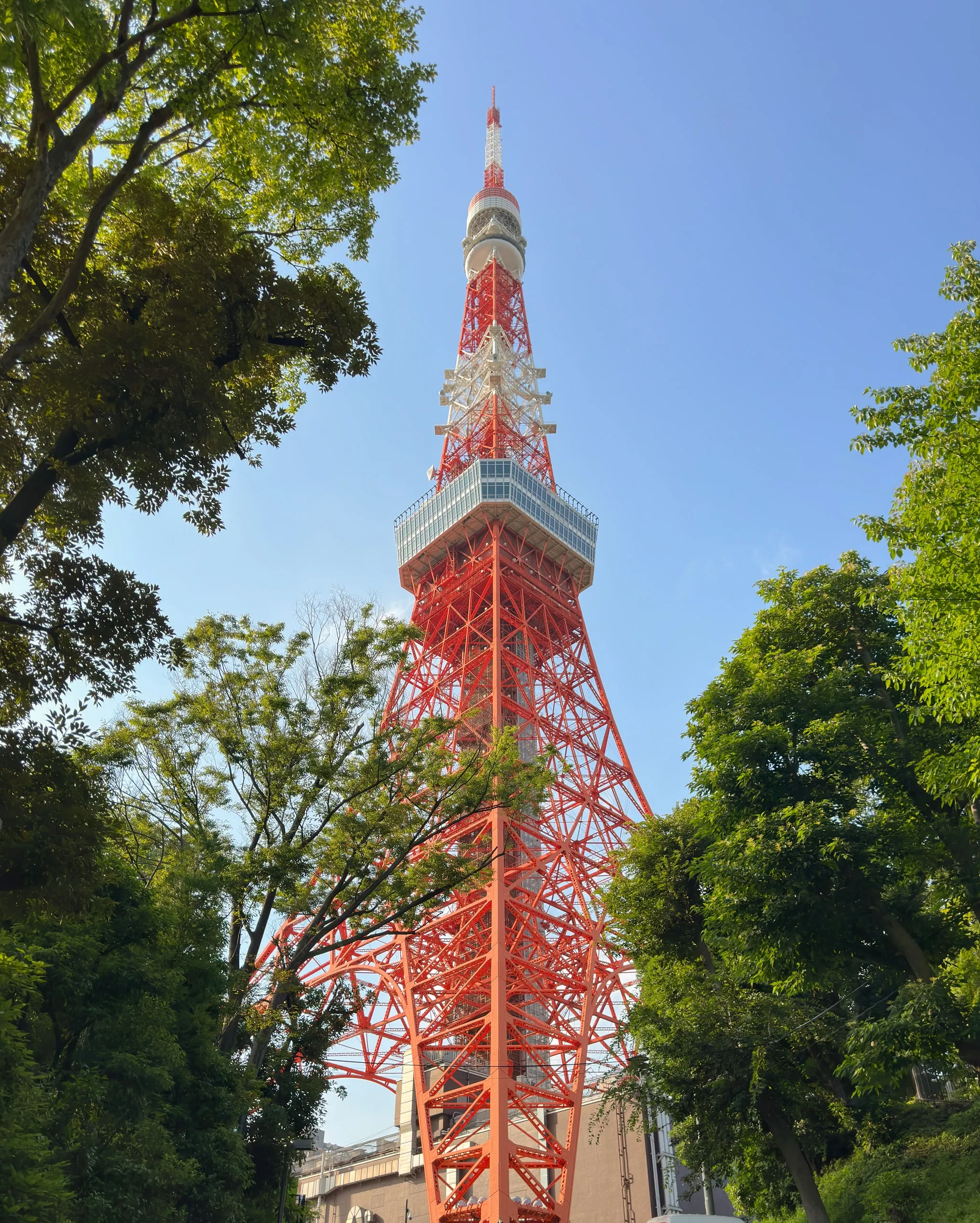 Tokyo Tower from below. Red and white through the summer green.