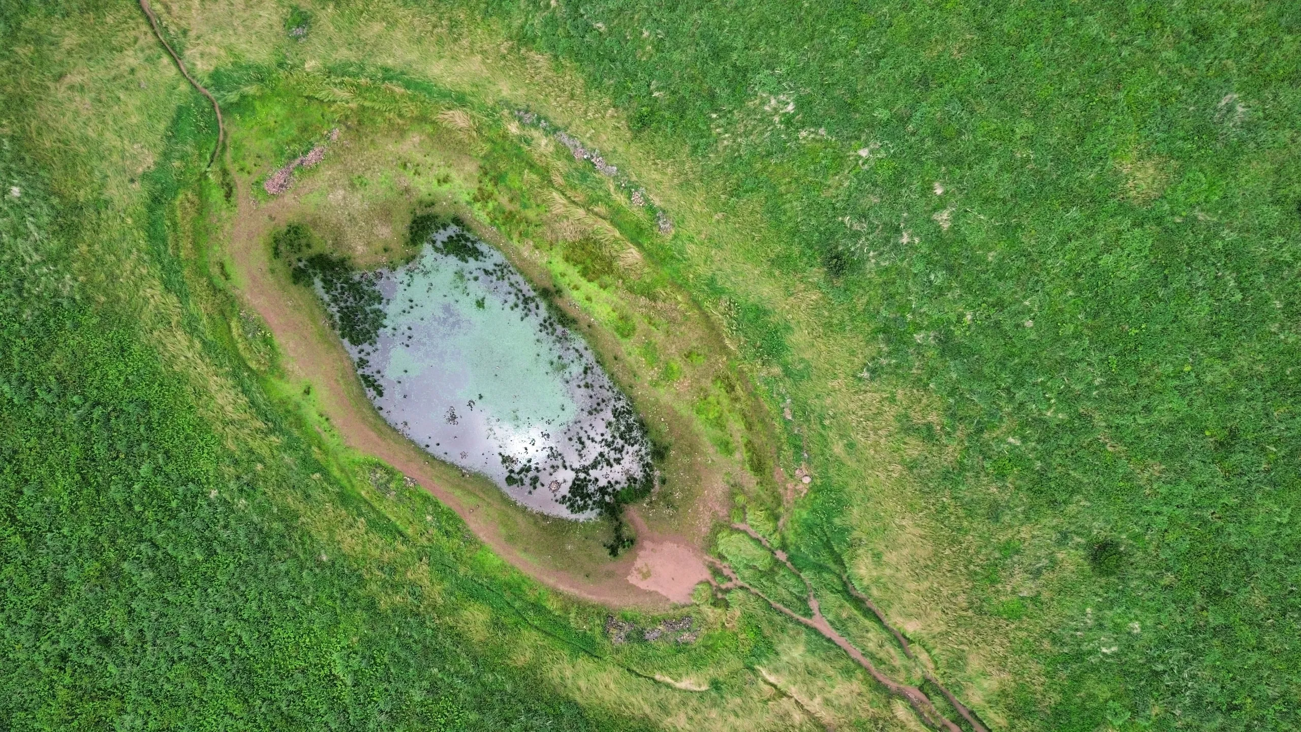 Jeju from above. A small pond sitting in a green field.